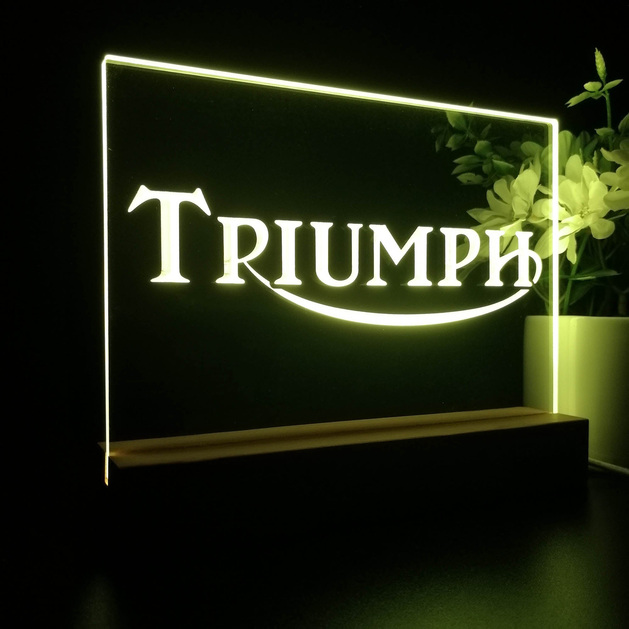 Triumph Car Truck Bar Night Light LED Sign