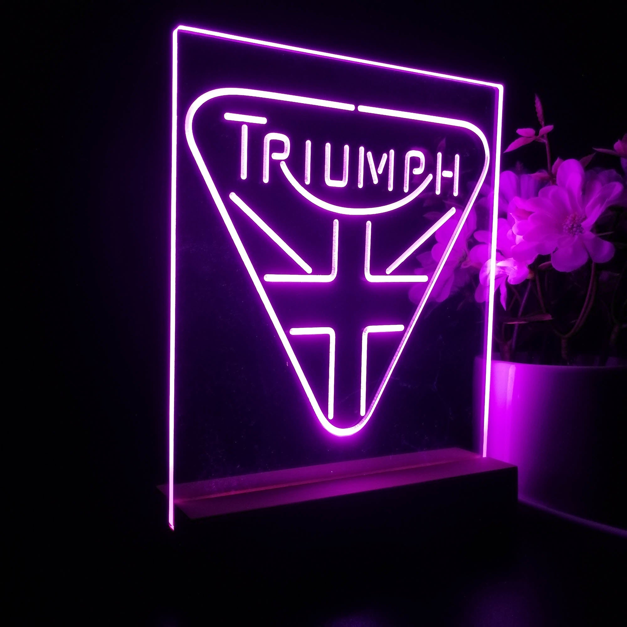 Triumph Truck Car Night Light LED Sign