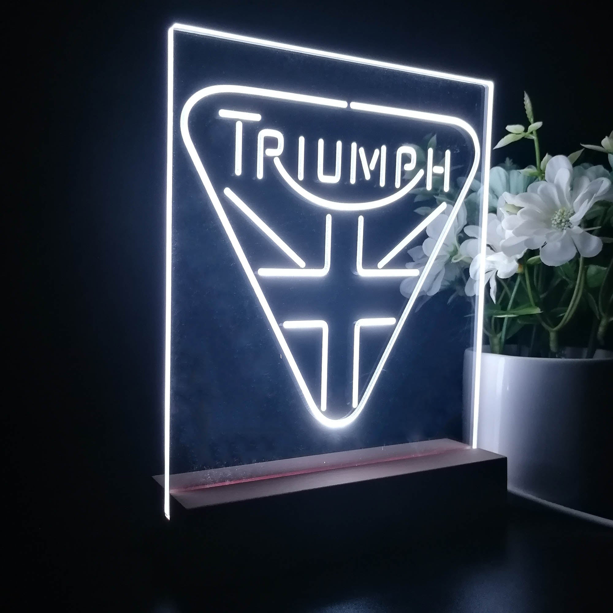 Triumph Truck Car Night Light LED Sign