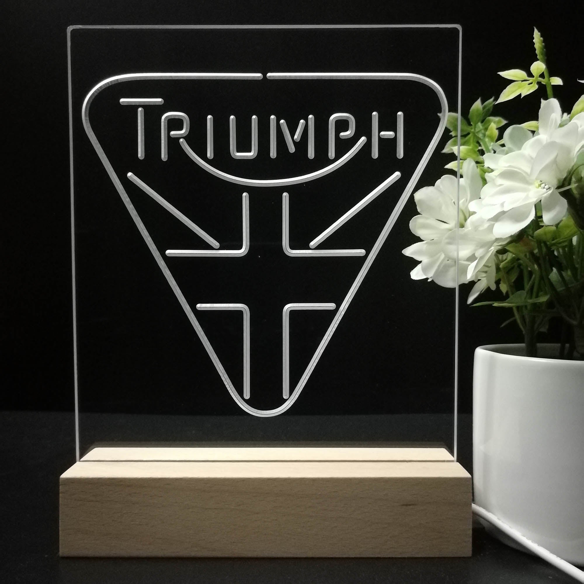 Triumph Truck Car Night Light LED Sign