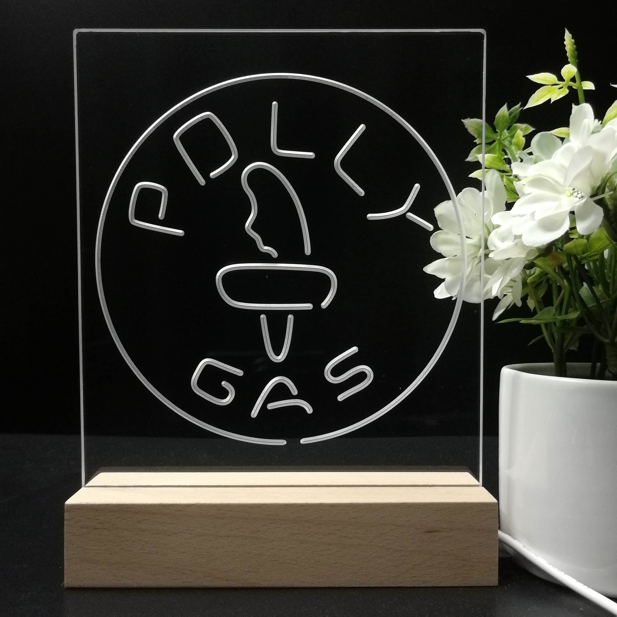 Polly Gas Man Cave Night Light LED Sign