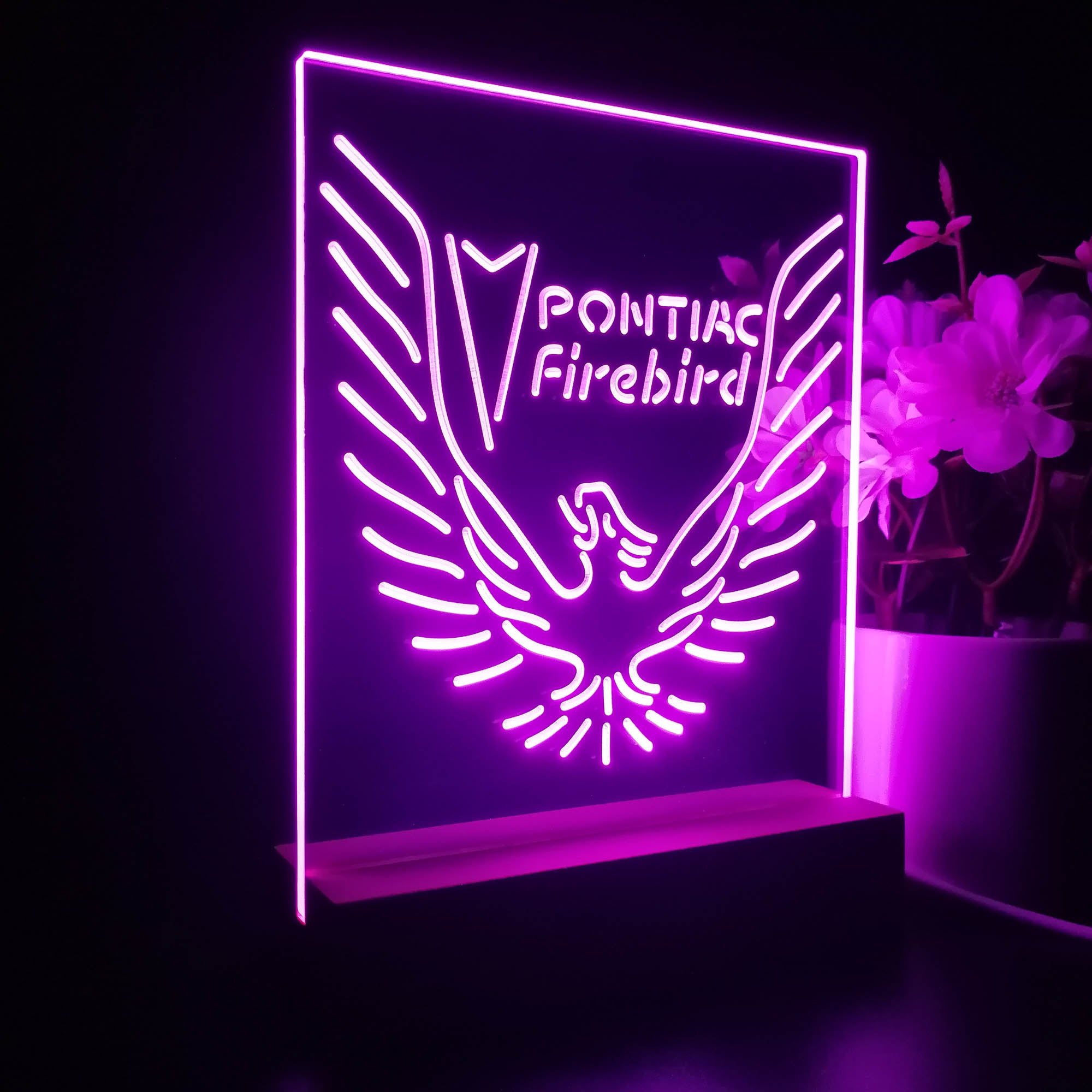 Pontiacs Firebirds Night Light LED Sign