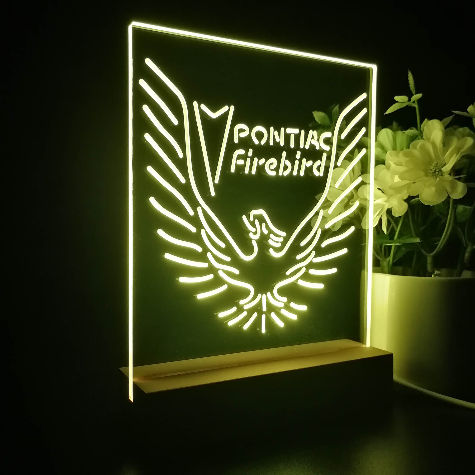 Pontiacs Firebirds Night Light LED Sign