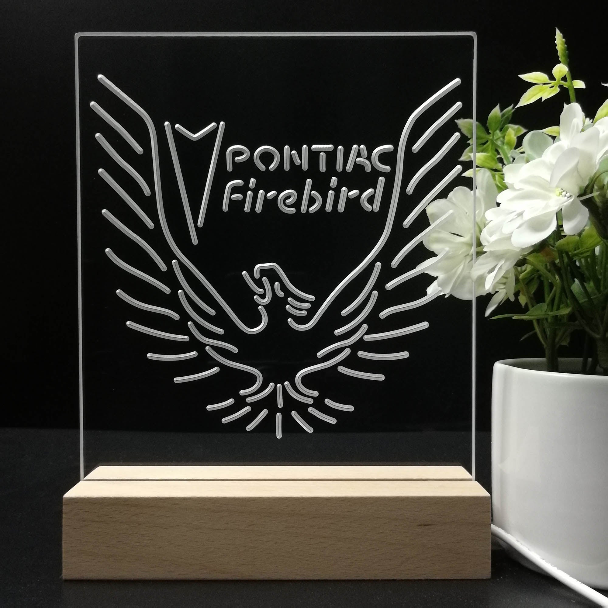 Pontiacs Firebirds Night Light LED Sign