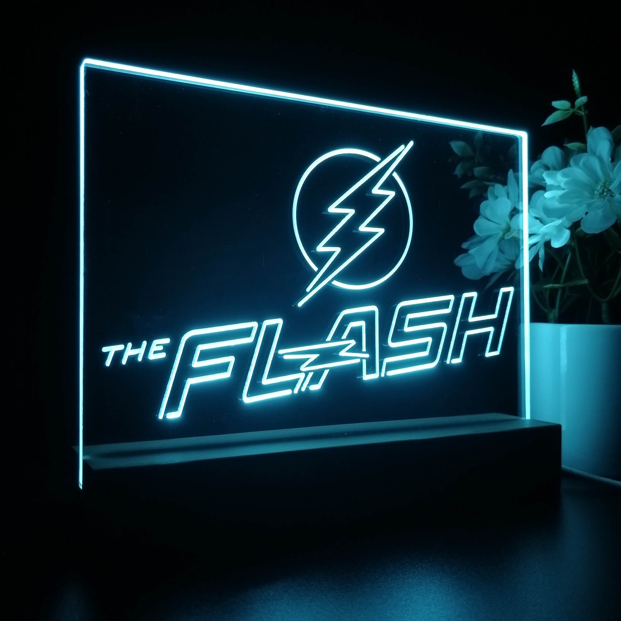 The Flash Night Light LED Sign
