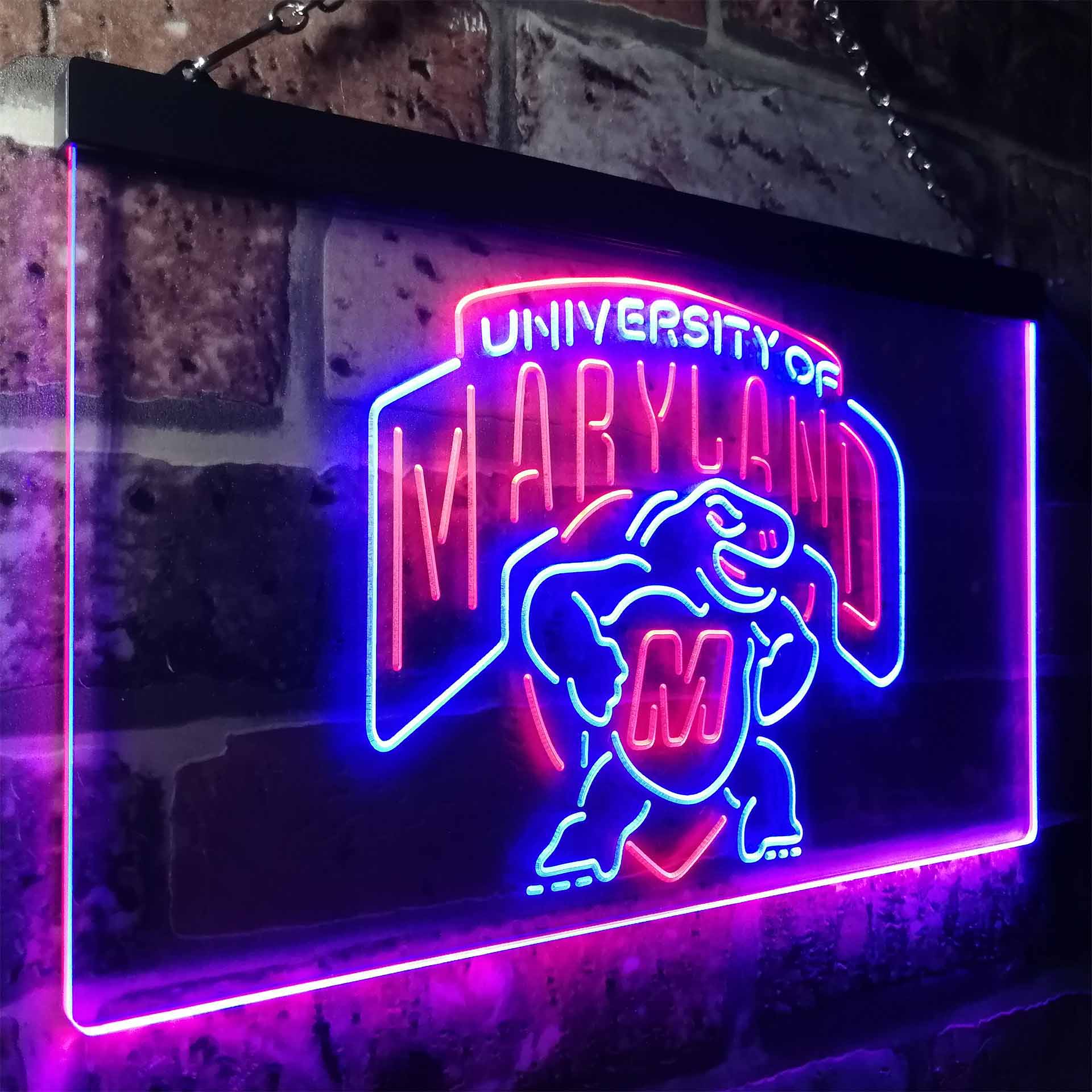 University Of Maryland Club Terrapinses LED Neon Sign