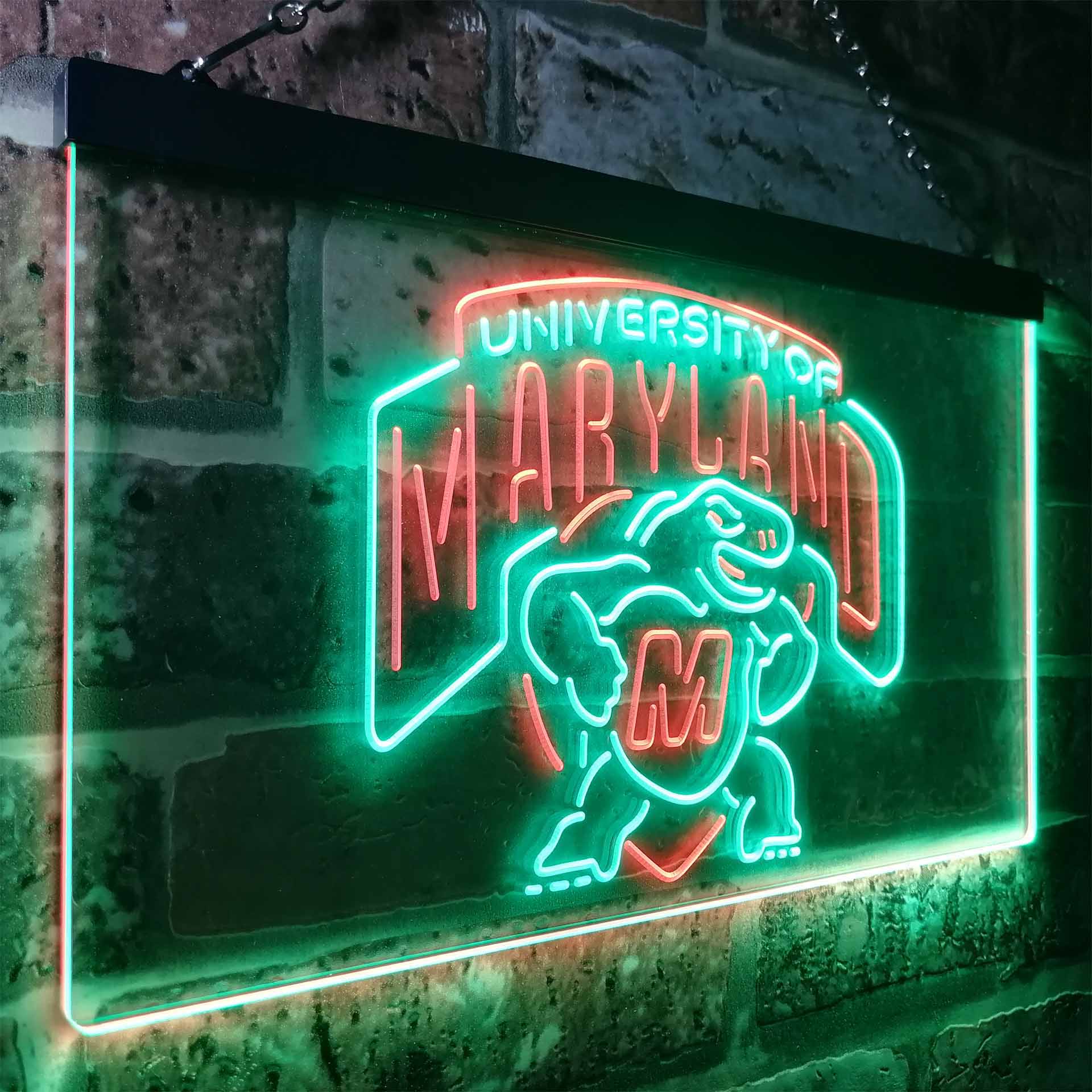 University Of Maryland Club Terrapinses LED Neon Sign